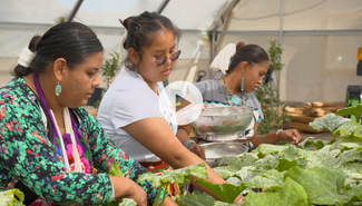 Click to watch the Time for Change Changemakers in Action video series on YouTube.