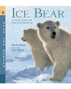Ice Bear: In the Steps of the Polar Bear: Read and Wonder